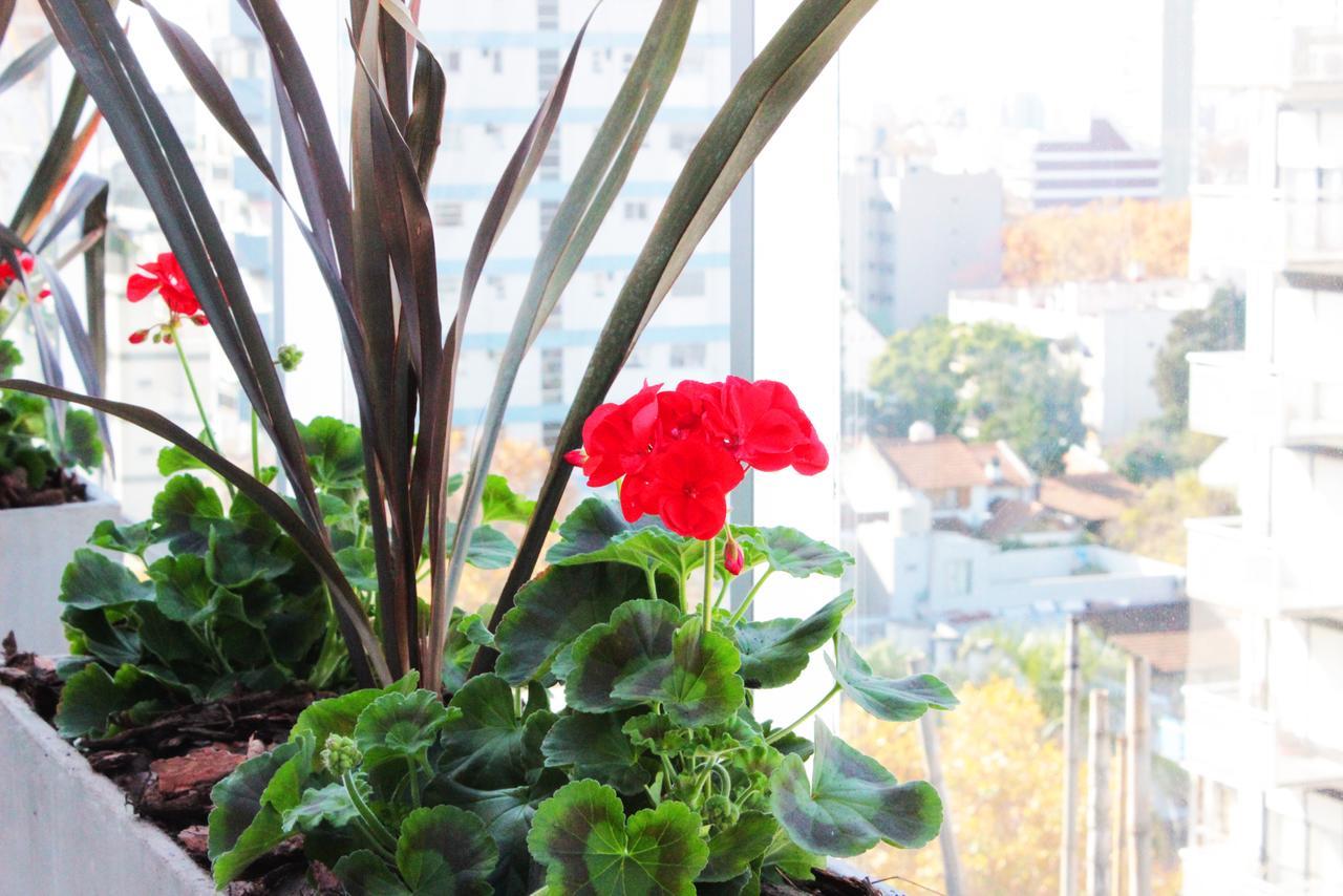 Hotel Boutique Devoto ブエノスアイレス エクステリア 写真